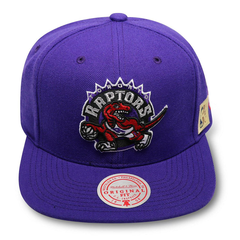 Mitchell And Ness TORONTO RAPTORS FINALS PURPLE SKY BLUE Patch Snapback Cap Hat