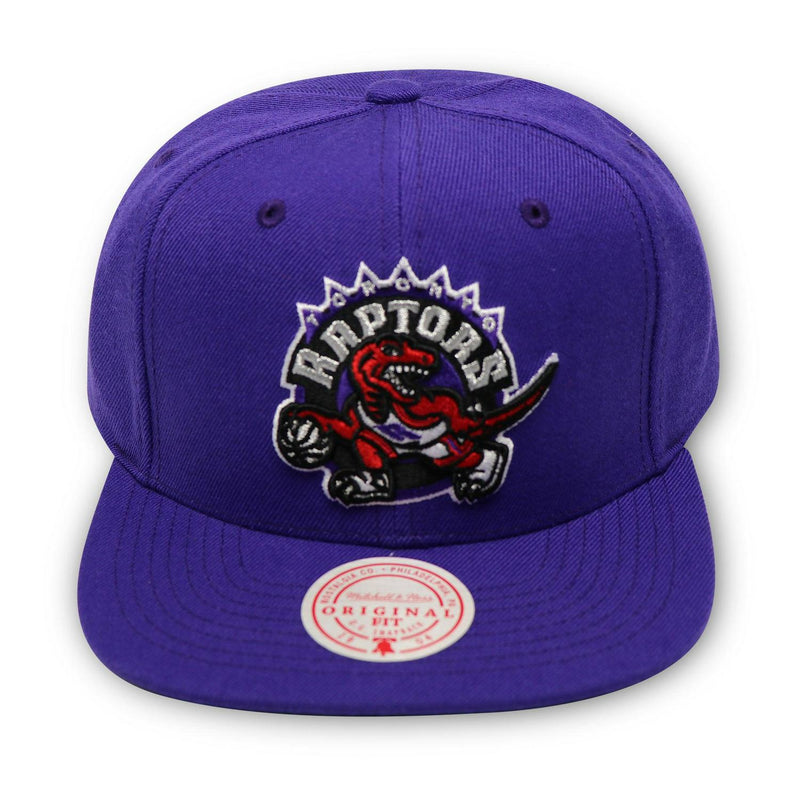 Mitchell And Ness TORONTO RAPTORS PURPLE WHITE GREEN Patch Snapback Cap Hat
