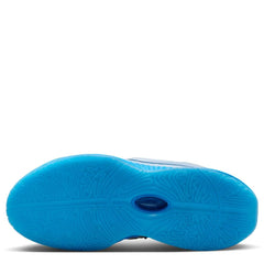 Lebron Xxi (Big Kid)