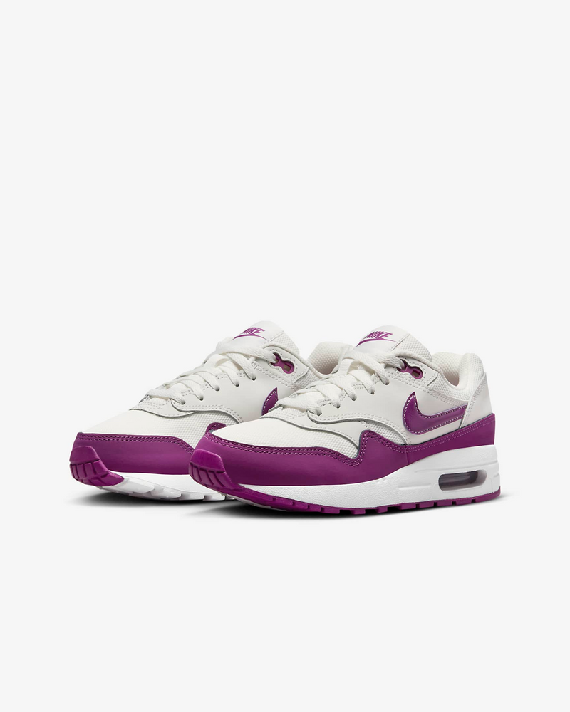 Air Max 1 Summit White/White/Viotech DZ3307-109