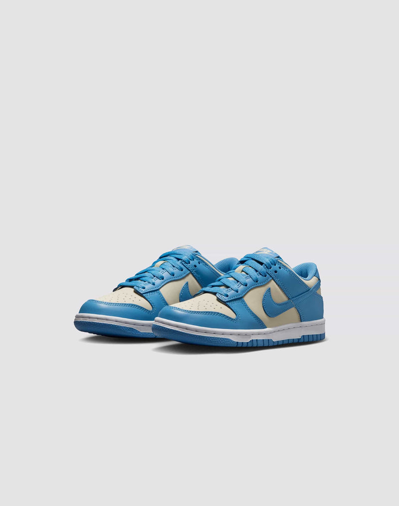 Nike Dunk Low Grade School Girls' 