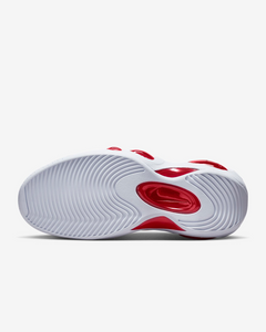 Nike Air Zoom Flight 95 White/Black/True Red DX1165-100