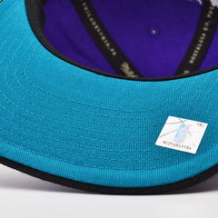 Mitchell And Ness Charlotte Hornets CLASSIC Purple White Black Blue Snapback Hat