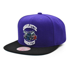 Mitchell And Ness Charlotte Hornets CLASSIC Purple White Black Blue Snapback Hat