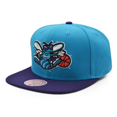 Mitchell And Ness Charlotte Hornets JUMBOTRON Vice Blue Purple Gray Snapback Hat
