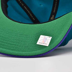 Mitchell And Ness Charlotte Hornets CLASSIC Teal Purple Green Patch Snapback Hat