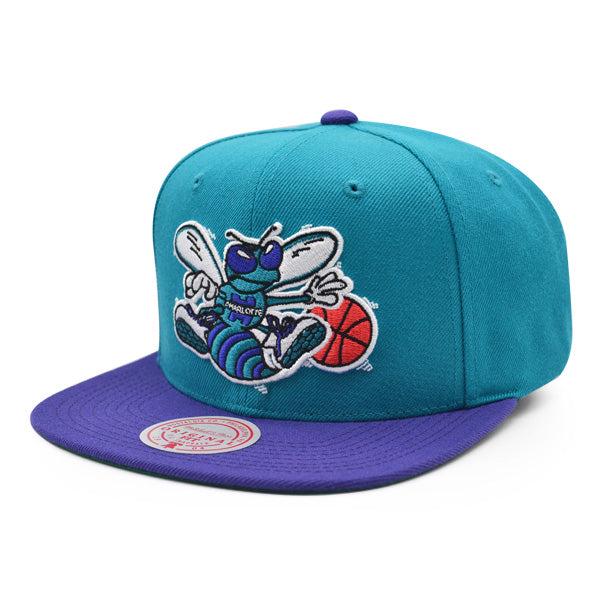 Mitchell And Ness Charlotte Hornets CLASSIC Teal Purple Green Patch Snapback Hat