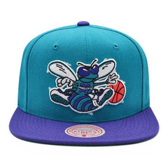 Mitchell And Ness Charlotte Hornets CLASSIC Teal Purple Green Patch Snapback Hat