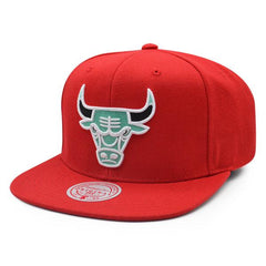 Mitchell And Ness Chicago Bulls '91 NBA FINALS INV LOGO Red Mint Gray Snapback