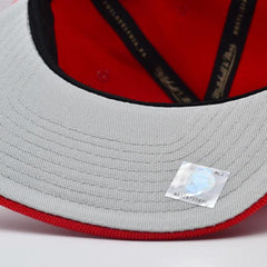Mitchell And Ness Chicago Bulls '91 NBA FINALS INV LOGO Red Mint Gray Snapback
