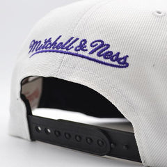 Mitchell And Ness Chicago Bulls Air Jordan DAY ONE Black White Purple Snapback