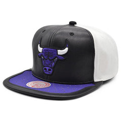 Mitchell And Ness Chicago Bulls Air Jordan DAY ONE Black White Purple Snapback