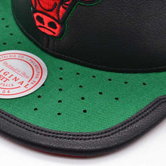 Mitchell And Ness Chicago Bulls Air Jordan DAY ONE Black Green Red Snapback Hat