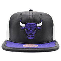 Mitchell And Ness Chicago Bulls Air Jordan DAY ONE Black White Purple Snapback