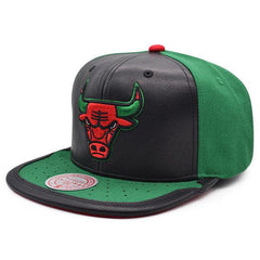 Mitchell And Ness Chicago Bulls Air Jordan DAY ONE Black Green Red Snapback Hat