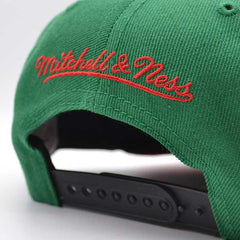 Mitchell And Ness Chicago Bulls Air Jordan DAY ONE Black Green Red Snapback Hat