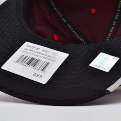 Mitchell And Ness Chicago Bulls Reflective Gray Black White Peach Patch Snapback