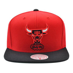 Mitchell And Ness Chicago Bulls Classic 2Tone Red Black Green Patch Snapback Hat