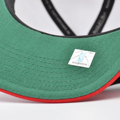 Mitchell And Ness Chicago Bulls PAINTBRUSH Red Black White Green Patch Snapback