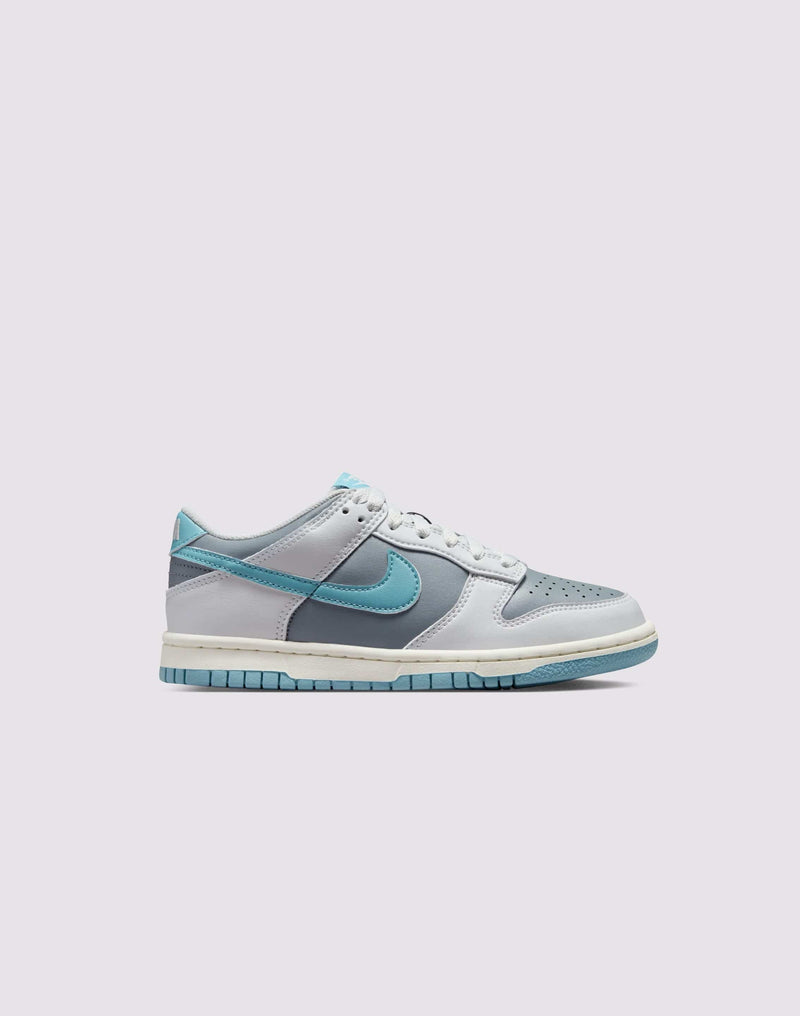 Nike Dunk Low Grade-School