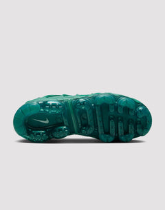 Nike Vapormax plus "Bicoastal/Chrome/Metallic Silver"