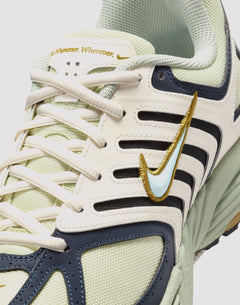 Nike Air Pegasus 2005