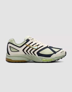 Nike Air Pegasus 2005