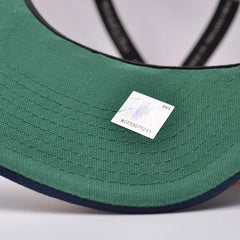 Mitchell And Ness Golden State Warriors Navy Blue Yellow White Green Snapback