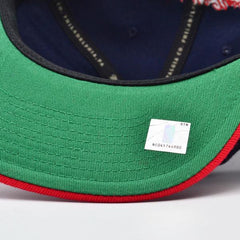 Mitchell And Ness Houston Rockets CLASSIC Navy Blue Red Green Patch Snapback Hat