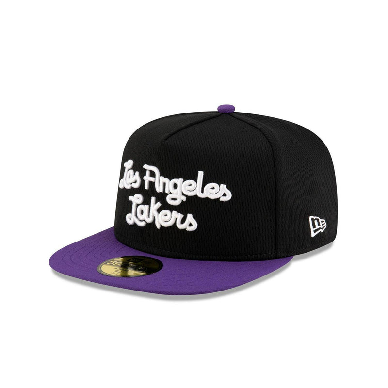 New Era Los Angeles Lakers Dashmark Mesh Black Purple Gray 59Fifty 5950 Fitted