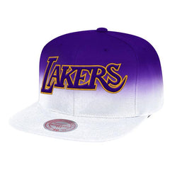 Mitchell And Ness LA Lakers FADE AWAY NBA Purple White Patch Snapback Cap Hat