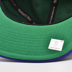 Mitchell And Ness Milwaukee Bucks CLASSIC Green White Purple Patch Snapback Hat