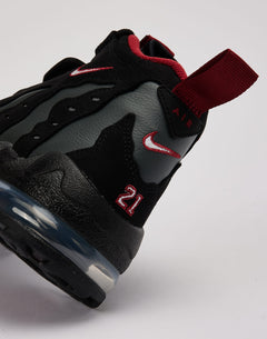 Nike Air DT Max '96 'Falcons' Grade-School