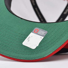 Mitchell And Ness Ohio State Buckeyes PAINTBRUSH Red Black White Green Snapback