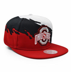 Mitchell And Ness Ohio State Buckeyes PAINTBRUSH Red Black White Green Snapback