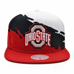Mitchell And Ness Ohio State Buckeyes PAINTBRUSH Red Black White Green Snapback
