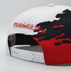 Mitchell And Ness Ohio State Buckeyes PAINTBRUSH Red Black White Green Snapback