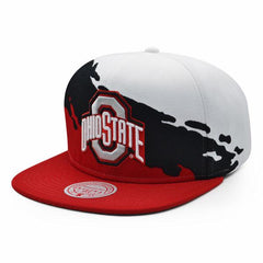 Mitchell And Ness Ohio State Buckeyes PAINTBRUSH Red Black White Green Snapback