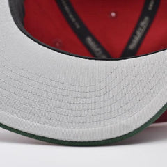 Mitchell And Ness Seattle Supersonics JUMBOTRON Maroon Green Gray Patch Snapback