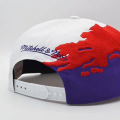 Mitchell And Ness Toronto Raptors PAINTBRUSH Purple Red White Green Snapback Hat