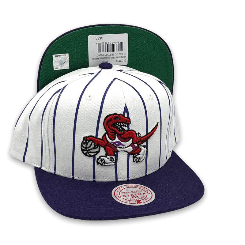 Mitchell and Ness Toronto Raptors Retro Pinstripe NBA White Purple Green