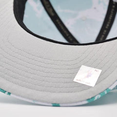 Mitchell And Ness Vancouver Grizzlies DOWN FOR ALL Teal White Gray Snapback Hat