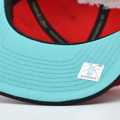 Mitchell And Ness Vancouver Grizzlies CLASSIC Red Black Teal Patch Snapback Hat