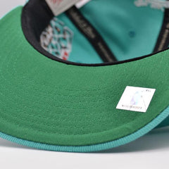 Mitchell And Ness Vancouver Grizzlies THE GRID Teal Copper Green Patch Snapback