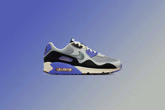 Nike X Patta Air Max 90 'Waves' - Particle Grey/Neutral Grey/Sapphire