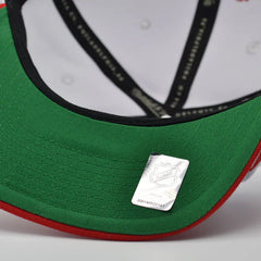 Detroit Redwings NHL Mitchell & Ness SHARKTOOTH Snapback Hat - Red/Gray