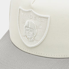 Shoe Palace Exclusive Las Vegas Raiders Chrome 950AF Curve Mens Hat (Chrome Grey)