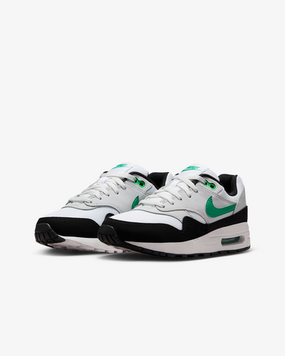 Air Max 1 White/Pure Platinum/Black/Stadium Green DZ3307-108